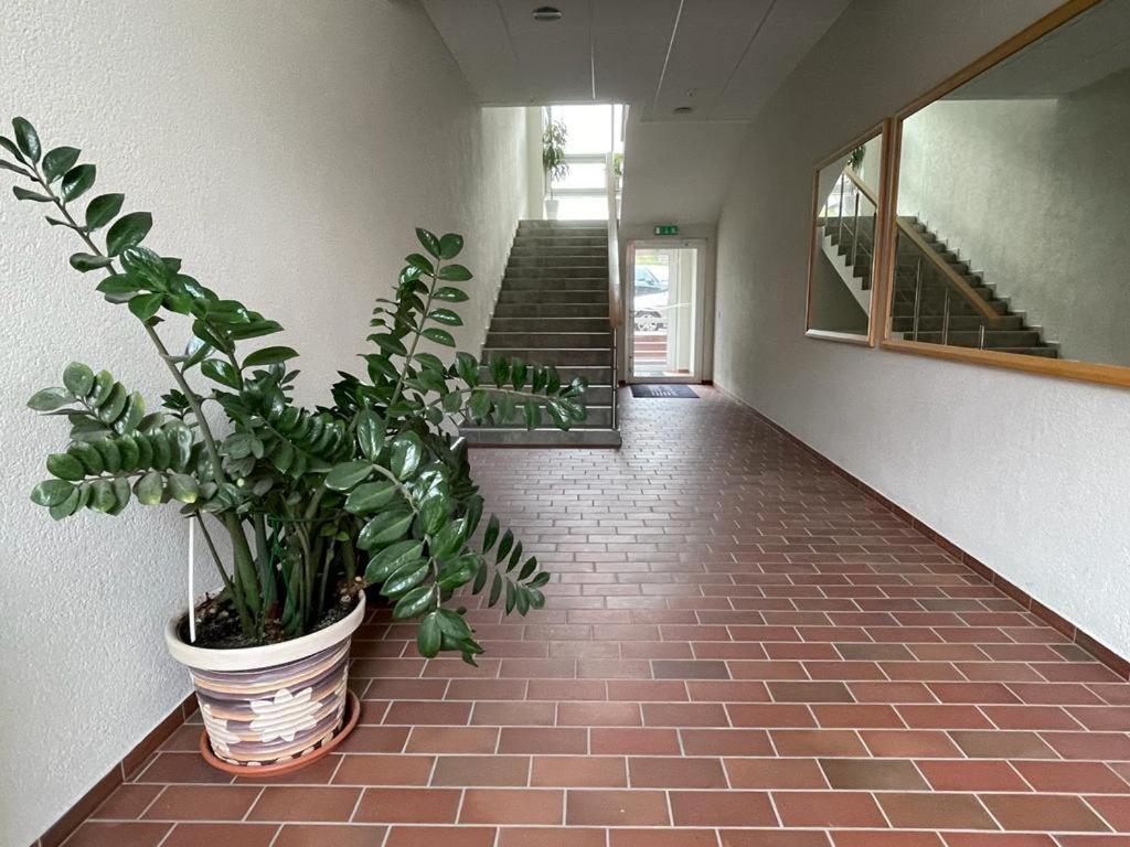 Victoria Old Town Apartments 클라이페다 외부 사진